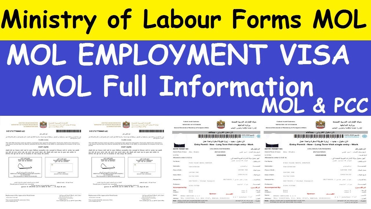 Uae Labour Law Unlimited Contract Termination Limited Contract Termination Al Tamimi Company