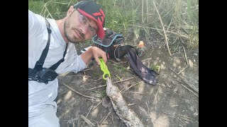 Якщо судак мовчить, НЕ ЗУПИНЯЙСЯ! Шукай щуку чи окуня на бровках! Вони обов'язково відзовуться.