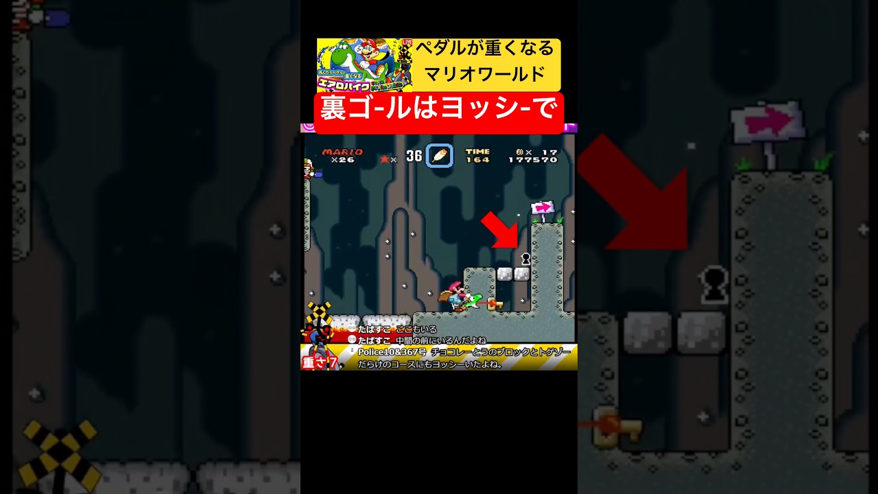 Reaching the Secret Goal with Yoshi! Valley of Bowser Course 4