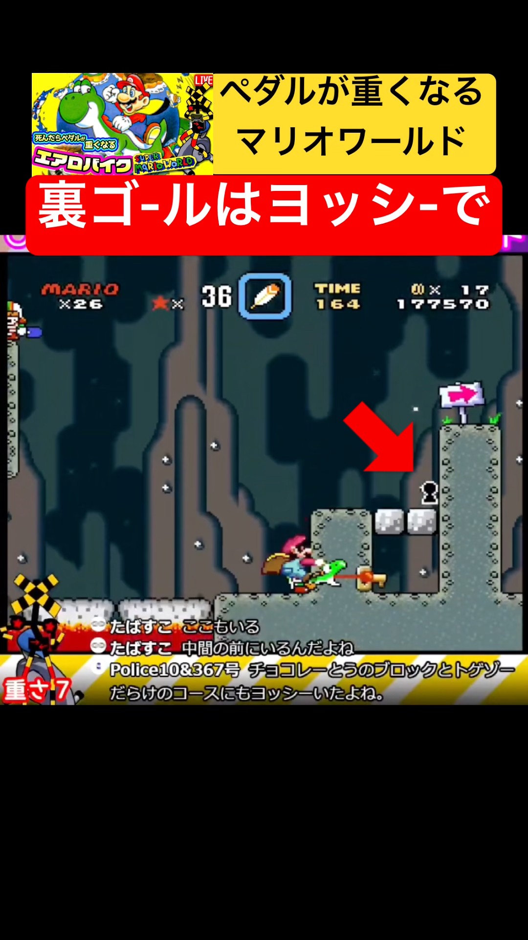 Reaching the Secret Goal with Yoshi! Valley of Bowser Course 4