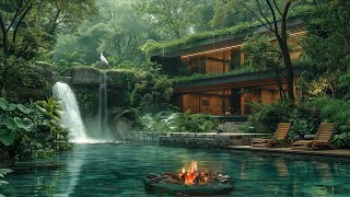 Backyard Garden Ambience: Relaxing Sound By Waterfall, Campfire And Birds Singing Help You Heal