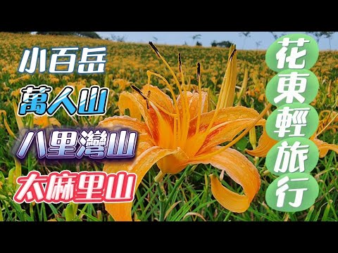 小百岳中的大魔王 | 唯美綻放的金針花 | 登山兼旅遊的行程 | 期間限定花東補助