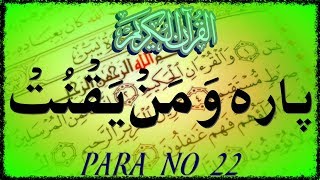 Para 22 Wa Manyaqnut وَمَنْ يَقْنُتْ || Holy Quran chapter 22 Al Ahzab | Saba | Al Fatir | Yaseen