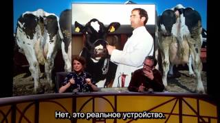 14 10 QI КьюАй Quite Interesting - Nature Nurture (субтитры)