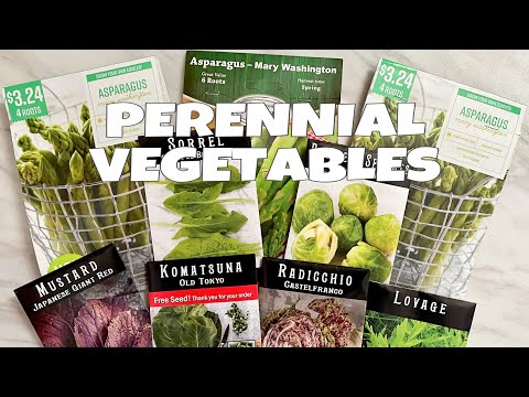9 Rare PERENNIAL VEGETABLES - Plant Asparagus & Rhubarb