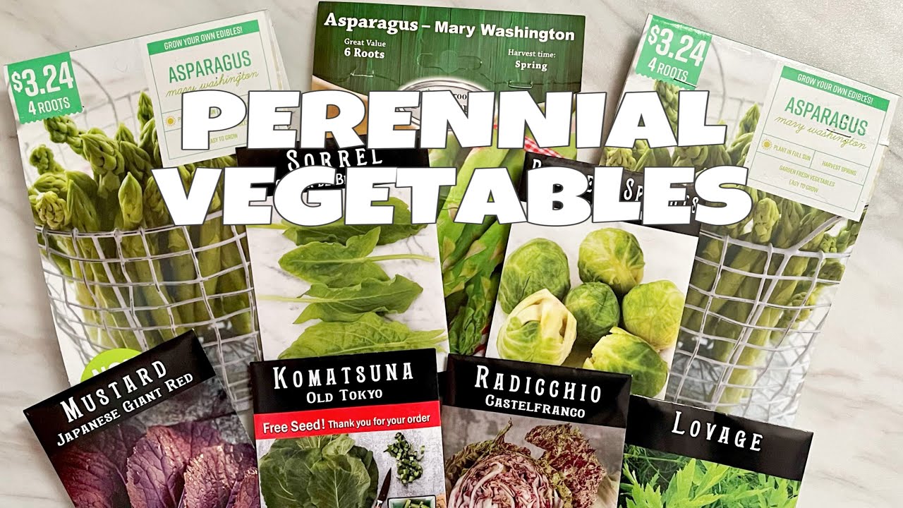 9 Rare Perennial Vegetables - Plant Asparagus  Rhubarb