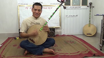 DẠY ĐÀN NGUYỆT MÚA LỤA  MÚA QUẠT 4 GIÁ CÔ BƠ CÔ CHÍN  CHO NGƯỜI DỐT CỰC DỐT