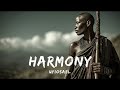Harmony(Afro Soul) — Epic Cinematic African music | African ambient meditation &amp; focus