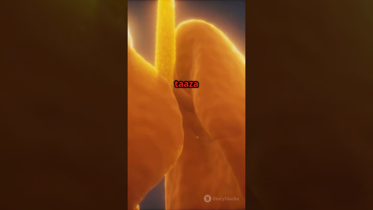 Dil Ka Double Dhamaal! 🫀✨