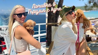 видео: С КУЧЕ НА МОРЕ В ГЪРЦИЯ картинка: С КУЧЕ НА МОРЕ В ГЪРЦИЯ