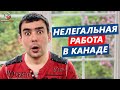 Работа в Канаде за наличные и без знания языка