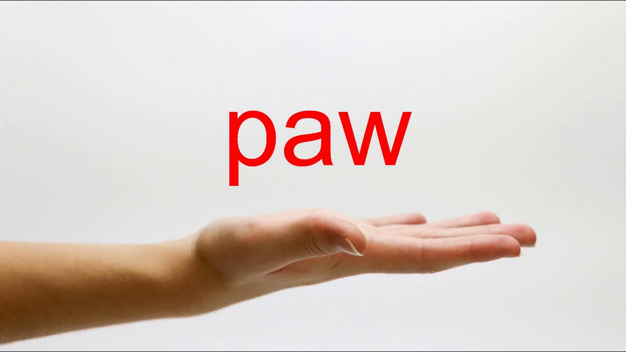How To Pronounce Paw - American English