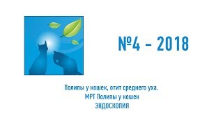 Рубрика Эндоскопия Полипы у кошек, отит среднего уха №4-2018 МРТ Полипы у кошек Рубрика Эндоскопия Полипы у кошек, отит среднего уха №4-2018 МРТ Полипы у кошек