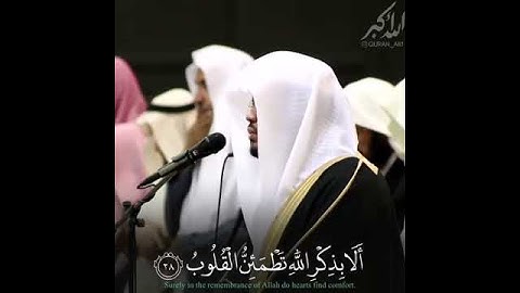 من سورة الرعد - ياسر الدوسري حالة واتساب 🌺