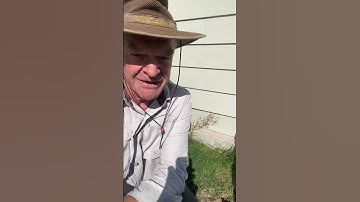 Big Old Gopher Caught