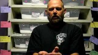 Ball Python Size Compare