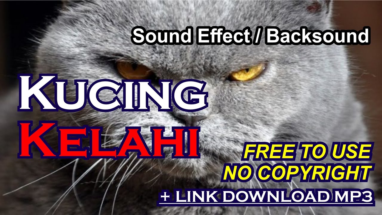 SOUND EFFECT / BACKSOUND SUARA KUCING KELAHI +LINK DOWNLOAD [NO ...