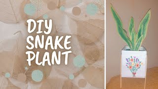 DIY Snake Plant |Room Decoration Idea |CREATIVE IDEAS|