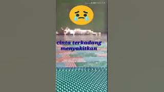 KUCING LAGI PATAH HATI..