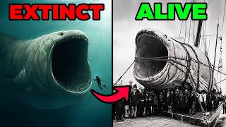 7 mythical creatures that really turned out to be real