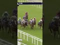 Too easy! A competitive York handicap becomes a cruise for the talented Extremely Zain