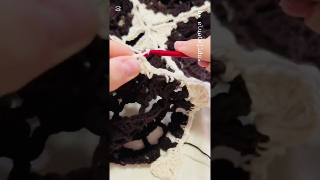 Guía gratuita “Suéter Donna” ARMADO