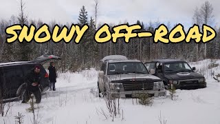 видео: Land Cruiser 100 4Runner Pajero sport 2. Оffroad. Снега оказалось слишком много. Лебёдки пригодились картинка: Land Cruiser 100 4Runner Pajero sport 2. Оffroad. Снега оказалось слишком много. Лебёдки пригодились