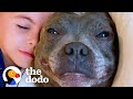 Kid Writes A Love Letter To His Pittie  | The Dodo Soulmates