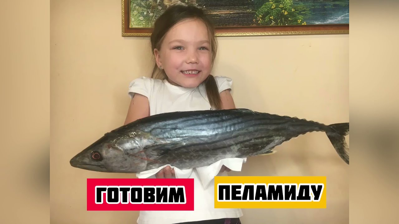 Рыба пеламида! Способ приготовления вкусной рыбы! #рецепты #пеламида # ...
