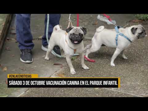 Se llevará a cabo una nueva jornada de vacunación para mascotas el 3 de octubre