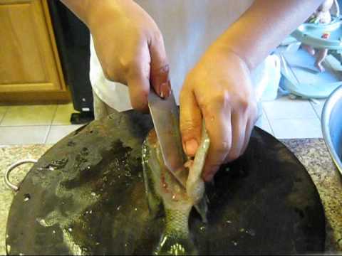 how to clean and cook BlueGill - saephacc - YouTube