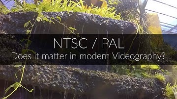 Video Test: Shooting NTSC in a PAL Country