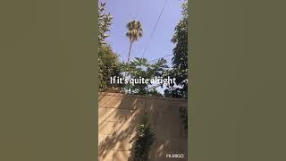 Ili love you baby feat(.Emile song in video