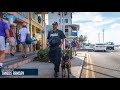 Bad boys cayman police k9 dogs unit