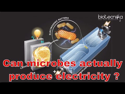 Video: Audi: Fuel Production With Micro-organisms