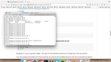 angular 2 getting started.