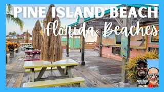 TRAVEL ON A BUDGET/PINE ISLAND BEACH, FLORIDA/Top 10 places in Florida to see Manatees and Dolphins