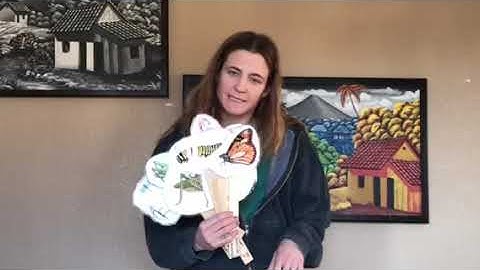 Insect Life Cycles Intro/Conclusion