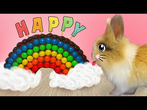 Buffy BUNNY UN Šokolādes kūka NO M & Ms!