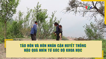 Tảo hôn và hôn nhân cận huyết thống Hậu quả nhìn từ góc độ khoa học | Phóng sự khoa giáo