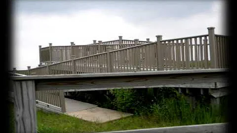 Robert Ridgway Nature Preserve