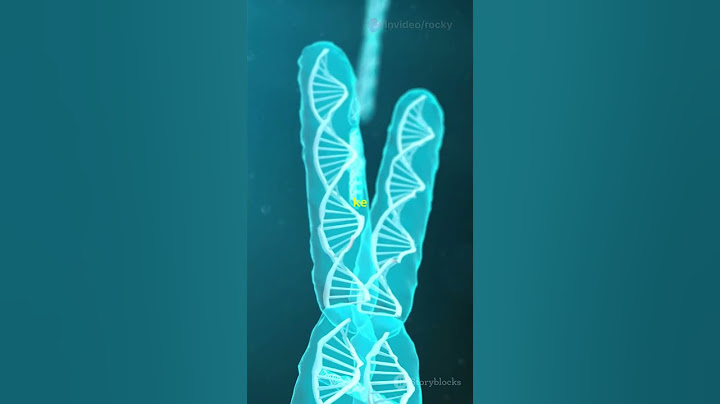 MEN are DYING! Scientist's Reveal Men'sY-CHROMOSOME is in DANGER