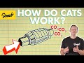 Catalytic Converter How It Works Science Garage Catalytic Converter How It Works Science Garage
