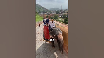 How to Start a Travel Blog in India (Step-by-Step Guide)