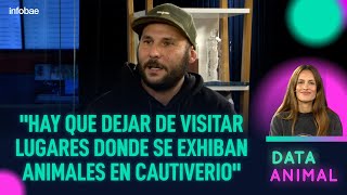 La liberación de los pumas del zoológico de Colón: los resultados de una larga lucha | #DataAnimal