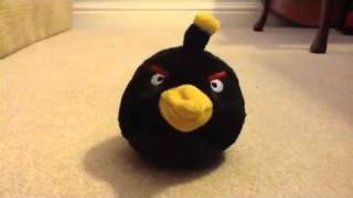 angry birds - Kamikaze's Interview by Henry Cook screenshot 1