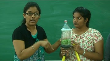 Packed bed and Fluidised bed