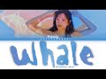 Sejeong   whale lyrics color coded hanromeng