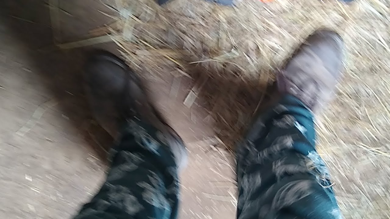 Farm Chores