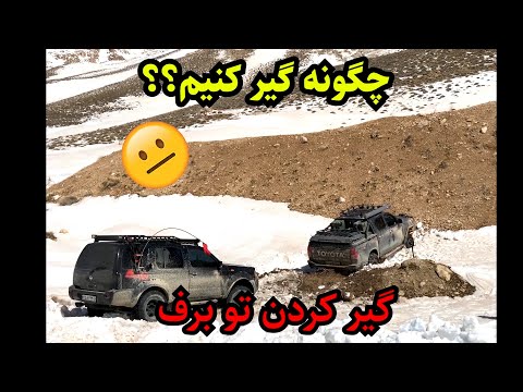 تصویری: راهنمای میدانی ویمارانر